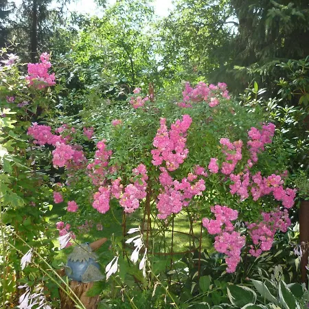 Eggers - Gemuetliche Im Erdgeschoss *